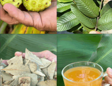 El remedio natural que está revolucionando la salud: adiós a la hipertensión y más