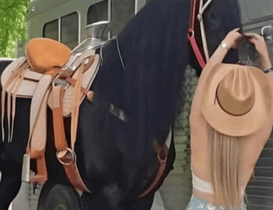 El hombre pidió el divorcio después de recibir esta foto: ¿Puedes adivinar por qué? El hombre pidió el divorcio después de recibir esta foto: ¿Puedes adivinar por qué?