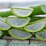 Aloe Vera: Beneficios y Formas Correctas de Consumo