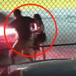 Captan el momento en que hombre embiste a su pareja con automóvil: denuncian intento de feminicidio | VIDEO