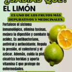 BENEFICIOS DEL LIMÓN