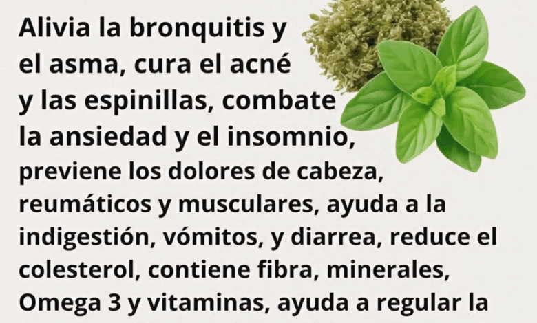 El Té de Orégano para la fuerte tos y limpiar los pulmones