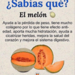 Mucho más que una fruta: los grandes beneficios del melón” Mucho más que una fruta: los grandes beneficios del melón”