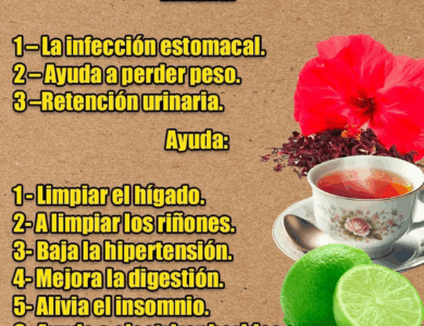 Te flor de Jamaica y limón