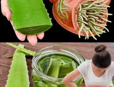 Sabila miel y limón