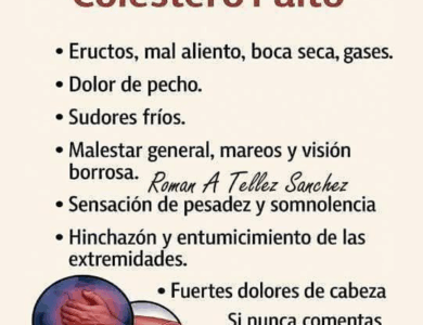 HOJAS DE NÍSPERO PARA BAJAR EL COLESTEROL MALO