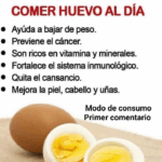 Cómo hacer la dieta del huevo Cómo hacer la dieta del huevo