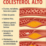 HOJAS DE NÍSPERO PARA BAJAR EL COLESTEROL MALO
