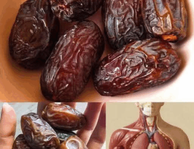 Los Dátiles: La Fruta más Poderosa para tu Salud Digestiva