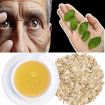 Remedios Naturales: Prevención de Cataratas y Glaucoma con Menta Remedios Naturales: Prevención de Cataratas y Glaucoma con Menta