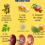 5 Recetas Naturales para Cuidar Tus Riñones