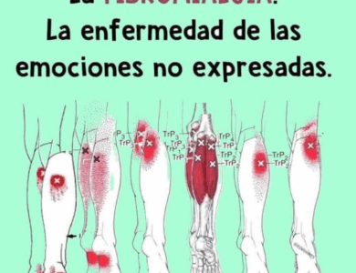 Beneficios del Alcohol de Romero y Laurel para aliviar dolores y varices