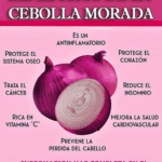 Cebolla Morada: Propiedades, Beneficios y Usos para tu Salud