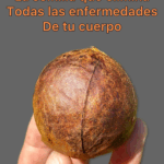 Semilla de Aguacate: ¿Para Qué Sirve y Cómo Usarla?