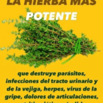 ¡Hervir 5 ramas de romero te librará de más de un problema!