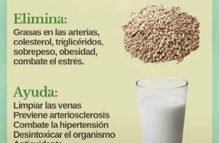 Agua de Alpiste: Bebida Nutritiva y Depurativa