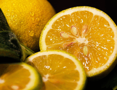 Beneficios y Usos Medicinales de las Semillas de Limón: Propiedades, Recetas y Precauciones