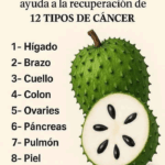 Guanábana: La Fruta Tropical con Poder Medicinal Guanábana: La Fruta Tropical con Poder Medicinal