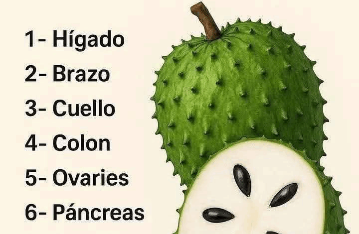 Guanábana: La Fruta Tropical con Poder Medicinal