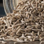 Las 10 Mejores Plantas para Dormir Como un Bebé