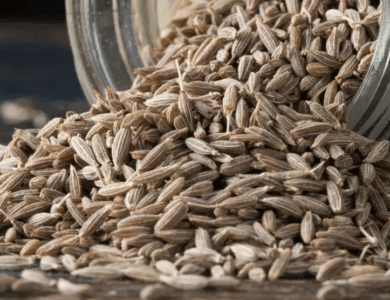 Las 10 Mejores Plantas para Dormir Como un Bebé Las 10 Mejores Plantas para Dormir Como un Bebé