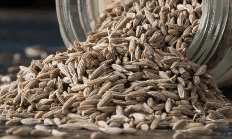 Las 10 Mejores Plantas para Dormir Como un Bebé