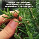 Le llaman morfina natural si sufres de dolores articulares o musculares