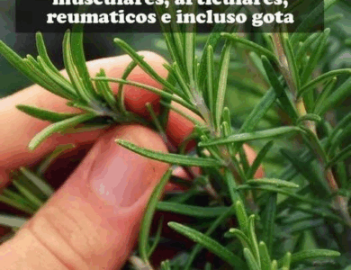 Le llaman morfina natural si sufres de dolores articulares o musculares Le llaman morfina natural si sufres de dolores articulares o musculares