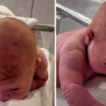 ¡Un Bebé Milagroso Que Gatea, Levanta La Cabeza Y Empieza A Hablar: ¡Mira El Increíble Momento! ¡Un Bebé Milagroso Que Gatea, Levanta La Cabeza Y Empieza A Hablar: ¡Mira El Increíble Momento!