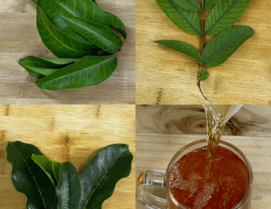 Receta de hojas recomendada por el Dr. Suárez