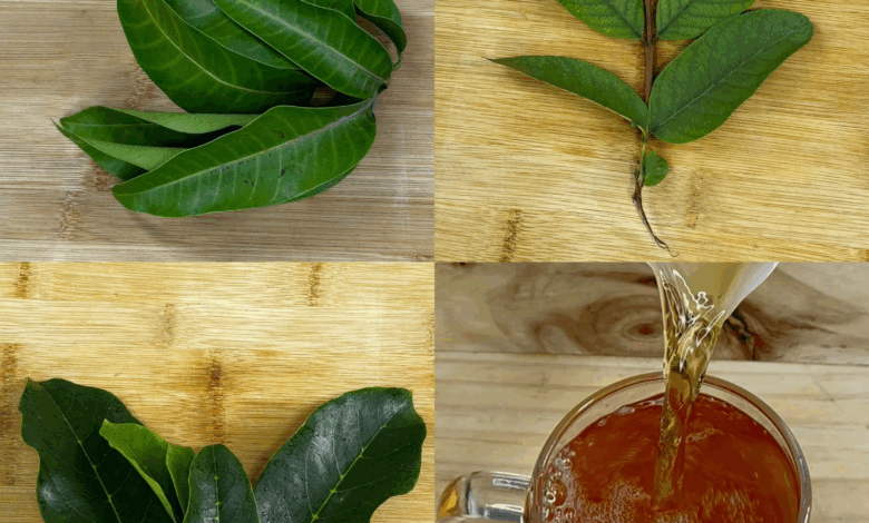 Receta de hojas recomendada por el Dr. Suárez