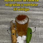 HOJA DE MANGO: Un remedio natural para cuidar tu cerebro, aliviar migrañas y prevenir derrames cerebrales