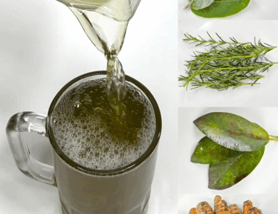 RECETA NATURAL CON HOJAS DE AGUACATE PARA LIMPIAR EL CUERPO Y FORTALECER LA SALUD