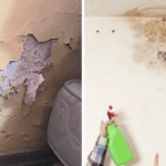 Cómo quitar la humedad de las paredes y que no vuelva nunca más: guía práctica y consejos clave Cómo quitar la humedad de las paredes y que no vuelva nunca más: guía práctica y consejos clave