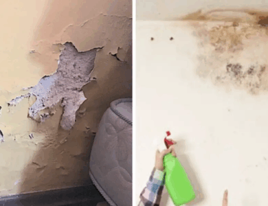 Cómo quitar la humedad de las paredes y que no vuelva nunca más: guía práctica y consejos clave