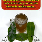 Receta natural inspirada en los consejos del Dr. Frank Suárez