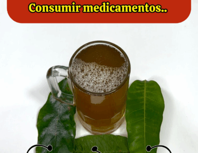 Receta natural inspirada en los consejos del Dr. Frank Suárez