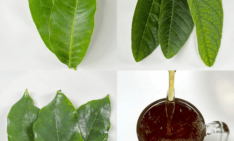 La bebida natural que recomendó Frank Suárez: ayuda a la presión alta, circulación, diabetes y más