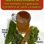 Dile adiós a la mala circulación, la hinchazón, el hígado graso y la diabetes tipo 2 Dile adiós a la mala circulación, la hinchazón, el hígado graso y la diabetes tipo 2