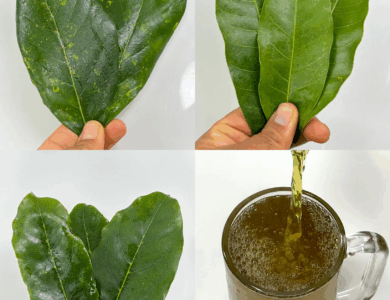 La bebida natural popularizada por el Dr. Frank Suárez