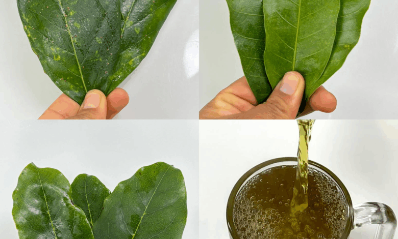 La bebida natural popularizada por el Dr. Frank Suárez