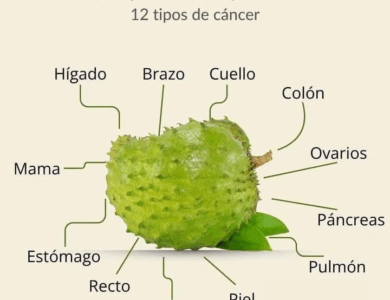 Guanábana: Una Fruta Tropical con Poder Medicinal