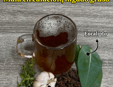 La Bebida Natural que Deja los Hospitales Vacíos