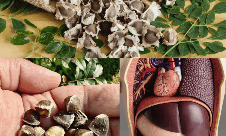 Semillas de Moringa: Para Qué Sirven y Cómo Usarlas