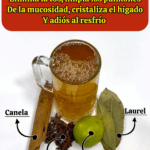 ¡Despeja tus pulmones y elimina la tos de forma natural! ¡Despeja tus pulmones y elimina la tos de forma natural!