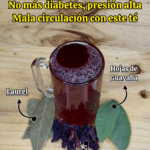No más diabetes, presión alta ni mala circulación con este té recomendado por el Dr. Frank Suárez