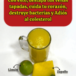 ¿Cómo le llaman a la calabaza en tu país? ¿Cómo le llaman a la calabaza en tu país?