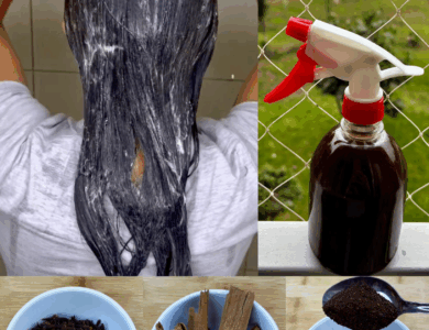 El Secreto Indio para un Cabello Largo, Fuerte y sin Canas El Secreto Indio para un Cabello Largo, Fuerte y sin Canas