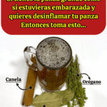 ¿Panza inflamada como si estuvieras embarazada… pero no lo estás?