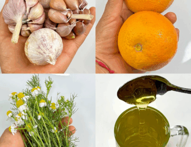 Este té cura la diabetes, la presión alta, el cáncer y mejora la circulación — ¡sin tomar pastillas! Este té cura la diabetes, la presión alta, el cáncer y mejora la circulación — ¡sin tomar pastillas!